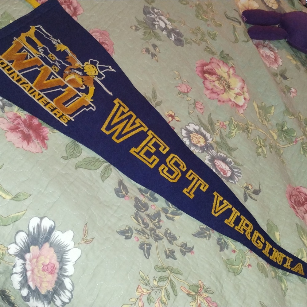 West Virginia Pennant